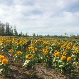 Meet your Posher, Mo